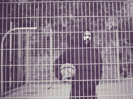 A man holding a football behind a fence 